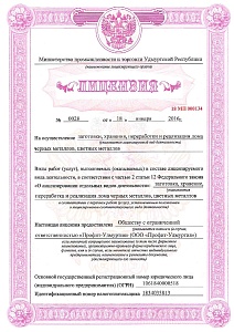 Лицензия стр.1